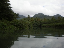 Dominica Indian River2